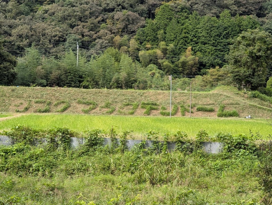 ¥Þ¥¦¥ó¥Æ¥ó¥É¡¼¥à²¬»³±Ä¶ÈÉôĹ